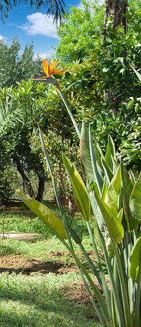 on-Sicily - holiday home Casa Giudeo - Balestrate, Sicily
